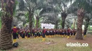 Saatnya Anak Petani Raih Impian Lewat Beasiswa Sawit 2023