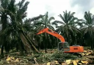 Usul PSR Empat Poktan di Mukomuko Dapat Lampu Hijau dari KLHK