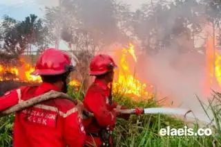 Cegah Karhutla, Perusahaan Ini Latih Petani Sawit di Pelalawan