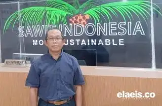 254 Hektar Kebun Kelapa Sawit di Paser Diremajakan