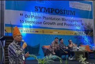 Hadapi El Nino, Pasukan Serangga Harus Dimanfaatkan untuk Dongkrak Produksi Sawit
