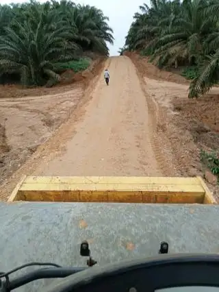 Pemda Ikut Terbantu, Petani Sawit Didorong Manfaatkan Program Sarpras BPDPKS
