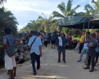 Dinilai Wanprestasi, Perusahaan Sawit ini Digugat Koperasi Lebih Rp 600 Milyar