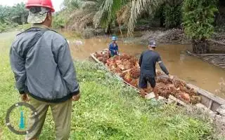 Termasuk Sentra Sawit Terbesar, tapi Pemprov Kaltim Keluhkan Problem Ini