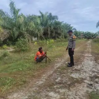 Petani Sawit Sulit Dapat Pupuk, Disbun Berau Lobi PKT