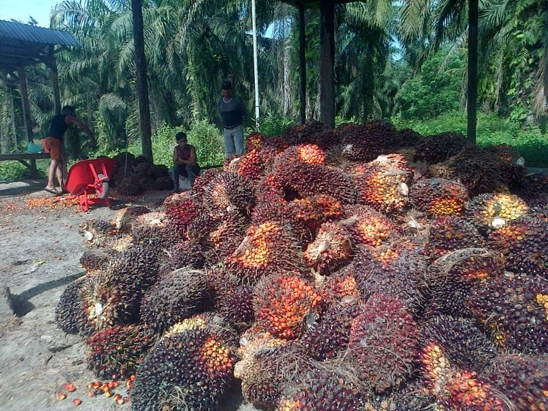 DPRD Sentil Pemprov Riau Soal PSR