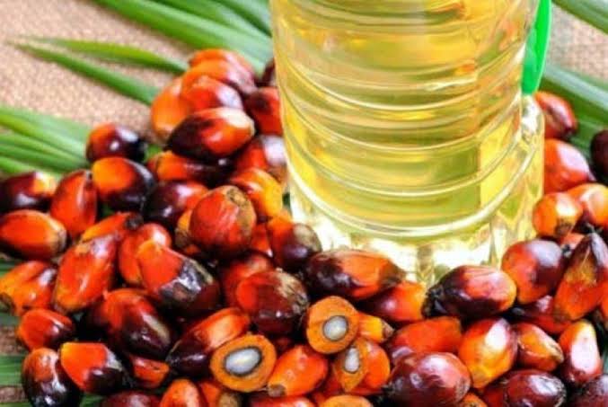 Harga CPO Riau Kuartal I-2021 Naik