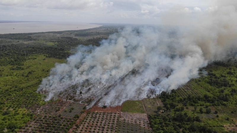 Hujan Dua Hari Terakhir Kurangi Titik Api Karhutla di Siak