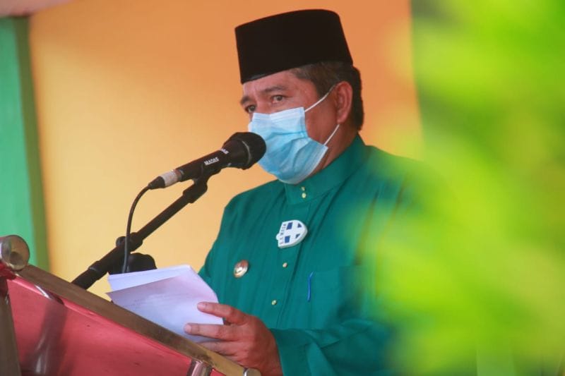 Bupati Alfedri: Dibanding Sawit, Lebih Untung Tanam Porang