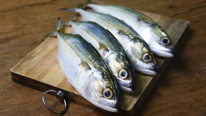 Ulah Covid-19, Pesanan Ikan Kembung Beralih dari India ke Indonesia