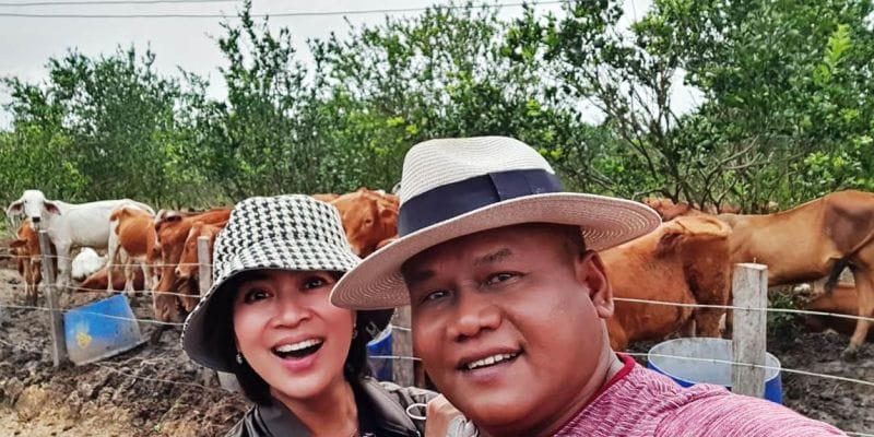 Intelijen Bisnis