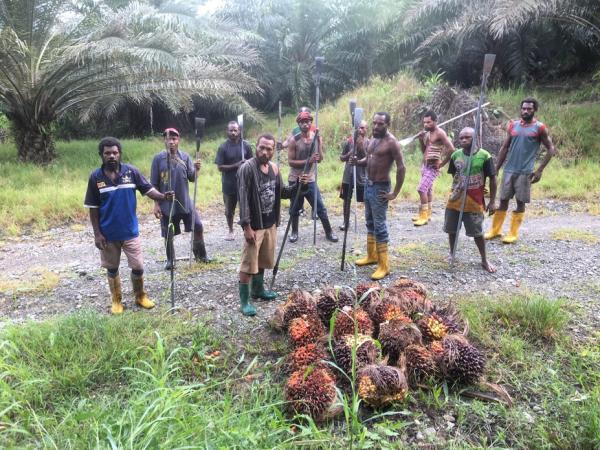Tenaga Kerja di Perkebunan Sawit Perlu Diaudit