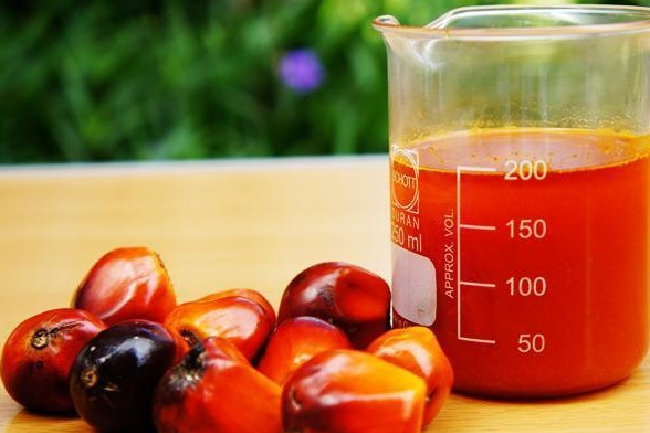 Sawit Merah Ampuh Cegah Covid, Ada Kandungan Vitamin A