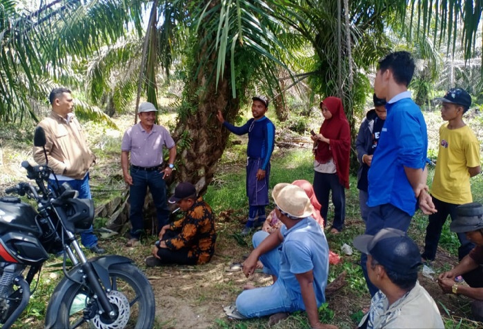 Perkuat Basis, ini yang Sedang Dilakukan SAMADE
