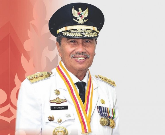 Gubri Mengaku tak Punya Dana untuk Validasi Kebun Sawit Ilegal