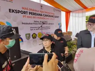 Cangkang Sawit dari Daerah ini Sangat Diminati Importir, ini Sebabnya