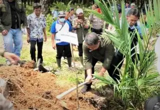 Tertunda Karena Kendala Bibit, Sawit PSR Akhirnya Ditanam Perdana