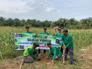 Lahan Gersang dan Rawan Longsor Ditanami Ratusan Bibit Matoa
