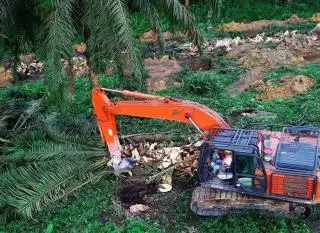 Petani Minta Pemerintah Lakukan Pendampingan saat PSR
