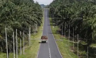 Bantuan Jalan Untuk Kebun Sawit Petani di Siak Jadi Prioritas