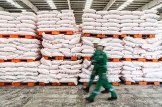 Penjualan Pupuk Non Subsidi Tetap Stabil, Siapa yang Beli?