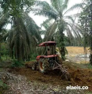 Menunggu 'Tangan' Dirjenbun untuk PSR di Paser