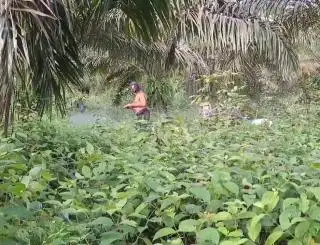 Musim Hujan, Masalah Petani Bertambah