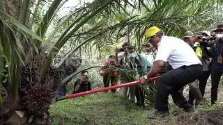 Sudah Mau Akhir Tahun, Belum Ada Pengusul PSR Dapat Rekomtek
