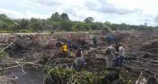 Jauhi Api, Ini Ancaman Bagi Pembakar Lahan