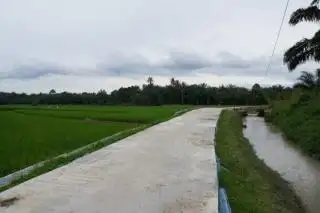 Produksi Melimpah, Perusahaan Pelat Merah ini Bagi-bagi Rezeki