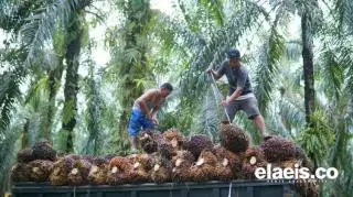 Sosialisasi Terkendala, Realisasi Sarpras Minim