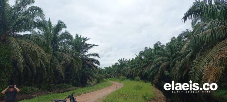 DPRD Pessel Dukung Pemda Perluas STD-B Bagi Petani, Ini Tujuannya