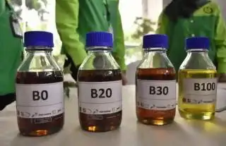 B35 Diyakini Bisa Naikkan Harga TBS