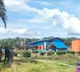 Membangkang, Pabrik Sawit Tak Berizin Dilaporkan ke KLHK