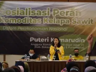 Kebaikan Sawit Juga Dirasakan Warga di Daerah Non Penghasil