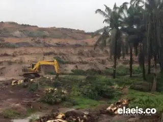 Tak Masalah Syarat Bebas HGU Diterapkan, Asal...