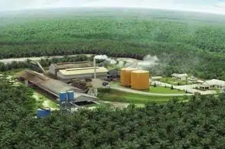 Pemprov Bengkulu Undang Investor Dirikan Pabrik CPO