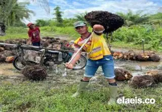 SPKS Minta Hasil Audit BPKP Dibuka ke Publik