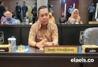 Naik Lagi, Harga TBS di Riau Tembus Rp2.889/Kg