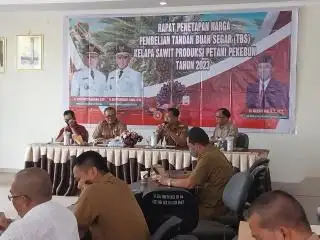 Harga Resmi TBS Sawit di Kalteng Kembali Menguat, Simak Daftarnya