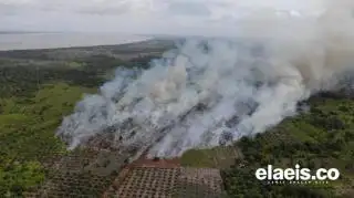 Hari Ini, Hotspot Terpantau Tiga Daerah di Riau
