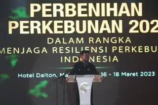Soal Pemilihan Benih Berkualitas, Dirjenbun Ingatkan tentang Enam Tepat