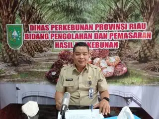 Jelang Ramadhan, Harga TBS Sawit di Riau Turun