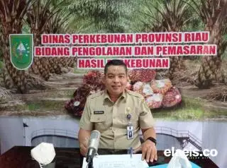 Harga Jual CPO dan Kernel di Riau Turun, Berikut Daftarnya