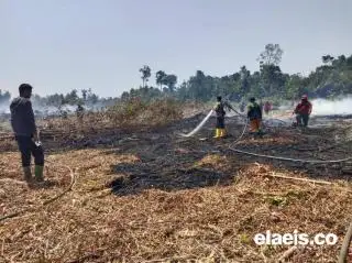 Sudah 131 Hektar Lahan di Riau Terbakar Tahun Ini, Terluas di Bengkalis