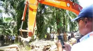 BPDPKS Diminta Prioritaskan Program PSR