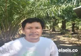 6 Perusahaan Tak Salurkan THR, Begini Kata Apkasindo Aceh