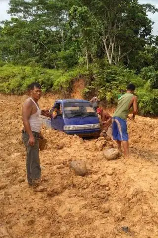 Perusahaan Sawit di Bengkulu Diminta Contoh PT Alno