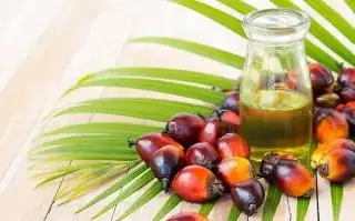 Uni Eropa Hentikan Penyelidikan Antisubsidi Produk Asam Lemak Asal Indonesia