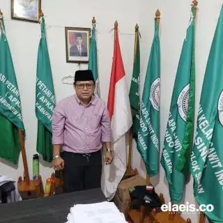 Merangkak Naik, Kelapa Sawit di Sumbar Dibeli Seharga Rp2.406,19/Kg